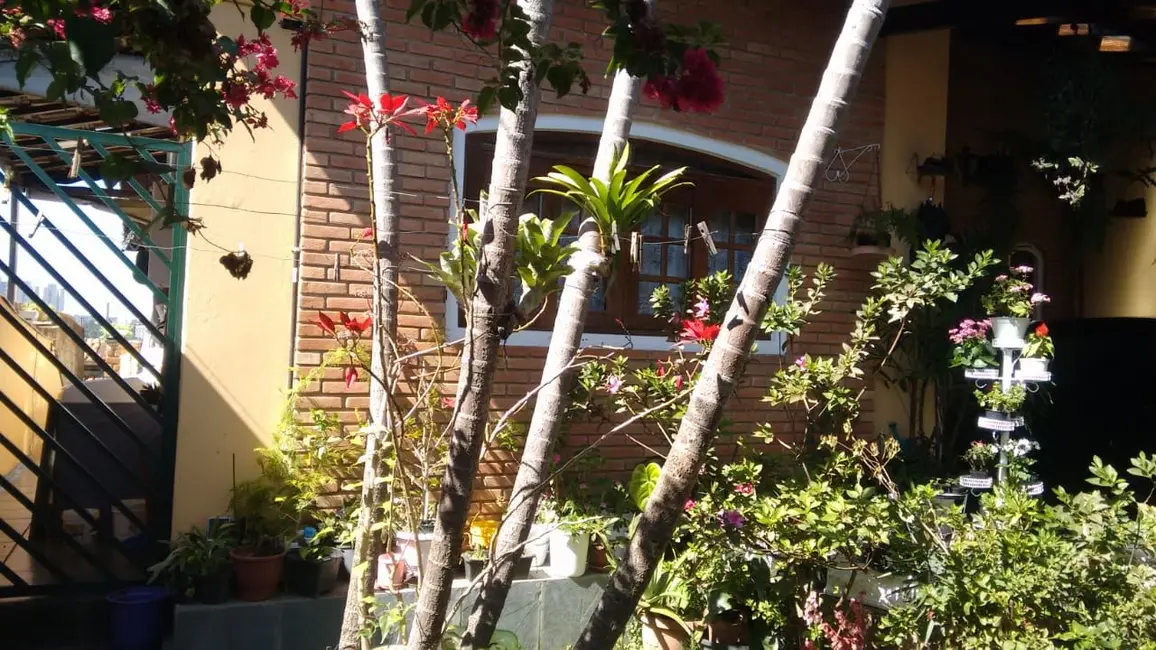 Casa com 4 quartos à venda, 1033m2 em Cidade Intercap, Taboao Da Serra - SP - imagem 6 Foto 6 de Casa com 4 quartos à venda, 1033m2 em Cidade Intercap, Taboao Da Serra - SP