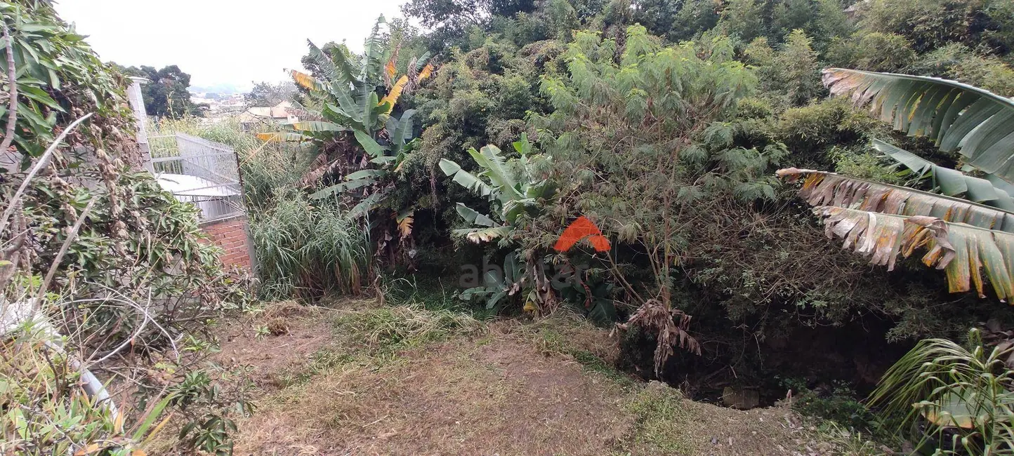 Foto 6 de Terreno / Lote para alugar, 500m2 em Jardim Guarau, São Paulo - SP