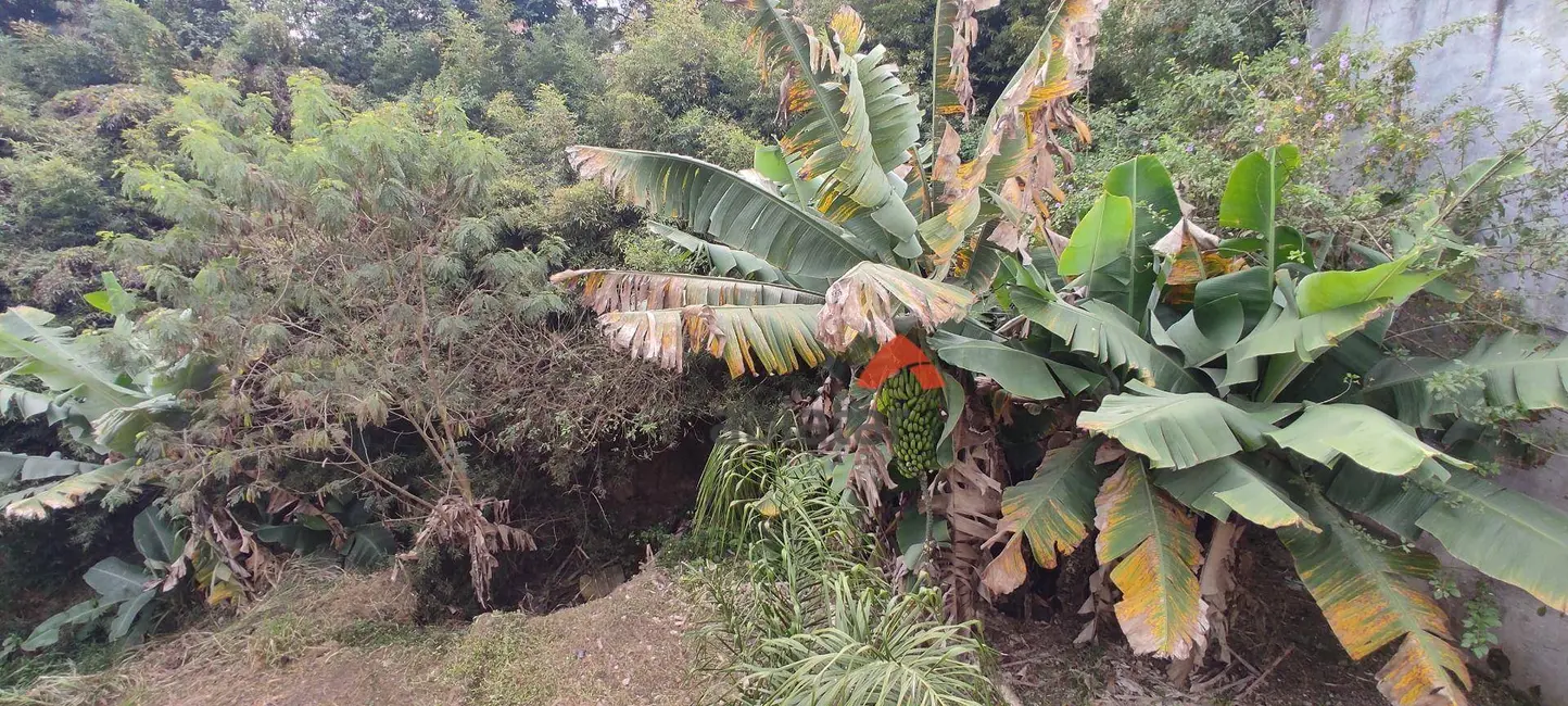 Foto 5 de Terreno / Lote para alugar, 500m2 em Jardim Guarau, São Paulo - SP
