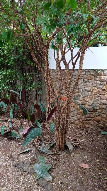 Foto 7 de Sobrado com 3 quartos para alugar, 450m2 em Butantã, São Paulo - SP