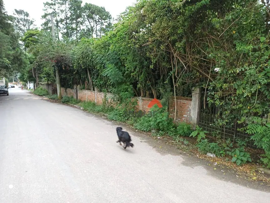 Foto 6 de Chácara com 2 quartos à venda, 16777215m2 em Jardim Santa Rita, Embu Das Artes - SP