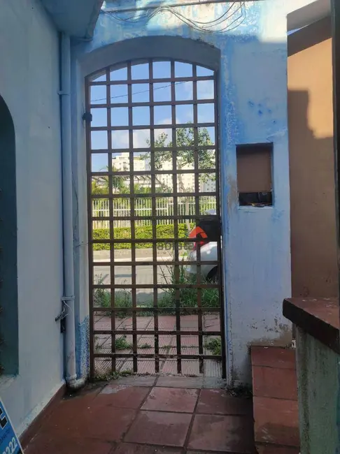 Foto 3 de Casa com 5 quartos à venda, 256m2 em Super Quadra Morumbi, São Paulo - SP