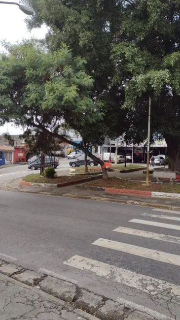 Sala Comercial para alugar, 650m2 em Arraial Paulista, Taboao Da Serra - SP - imagem 5 Foto 5 de Sala Comercial para alugar, 650m2 em Arraial Paulista, Taboao Da Serra - SP