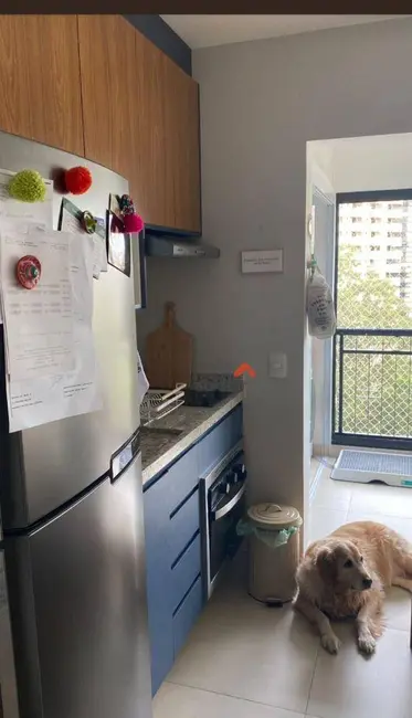 Foto 6 de Apartamento com 1 quarto à venda, 38m2 em Vila Suzana, São Paulo - SP