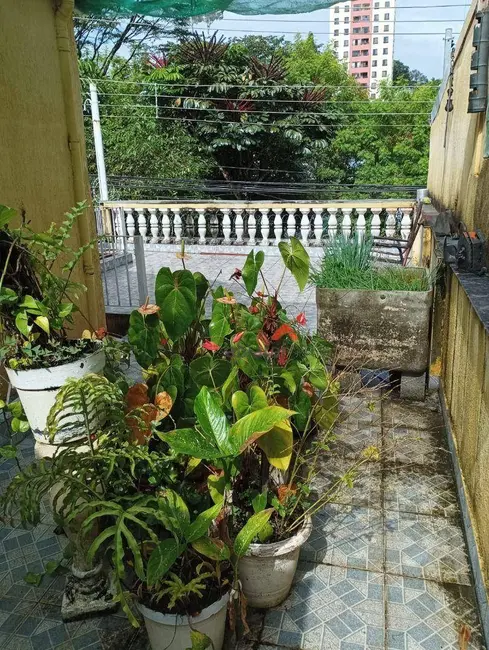 Casa com 3 quartos à venda, 259m2 em Jardim Vazani, São Paulo - SP - imagem 6 Foto 6 de Casa com 3 quartos à venda, 259m2 em Jardim Vazani, São Paulo - SP