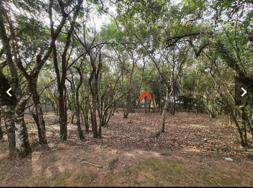 Foto 4 de Terreno / Lote à venda, 1575m2 em Vila de São Fernando, Cotia - SP