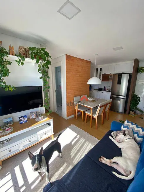 Apartamento com 2 quartos à venda, 48m2 em Parque Reboucas, São Paulo - SP - imagem 2 Foto 2 de Apartamento com 2 quartos à venda, 48m2 em Parque Reboucas, São Paulo - SP