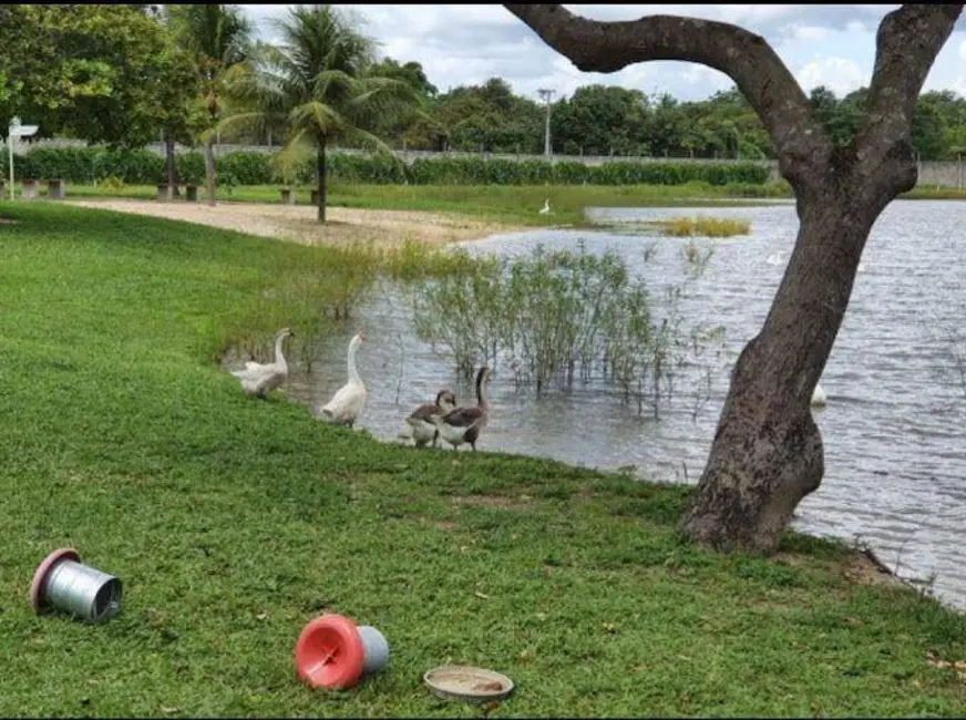 Foto 8 de Terreno / Lote à venda, 285m2 em Eusebio - CE