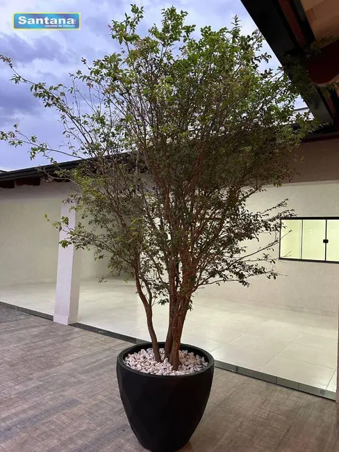 Casa com 3 quartos à venda, 450m2 em Caldas Novas - GO - imagem 3 Foto 3 de Casa com 3 quartos à venda, 450m2 em Caldas Novas - GO