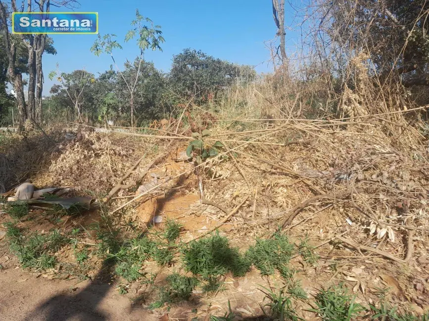 Terreno / Lote à venda, 660m2 em Caldas Novas - GO - imagem 4 Foto 4 de Terreno / Lote à venda, 660m2 em Caldas Novas - GO