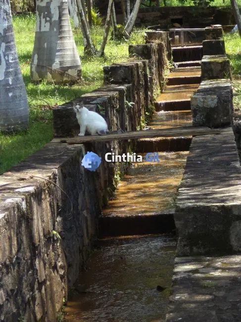 Casa com 4 quartos à venda, 400m2 em Aguas De Lindoia - SP - imagem 8 Foto 8 de Casa com 4 quartos à venda, 400m2 em Aguas De Lindoia - SP
