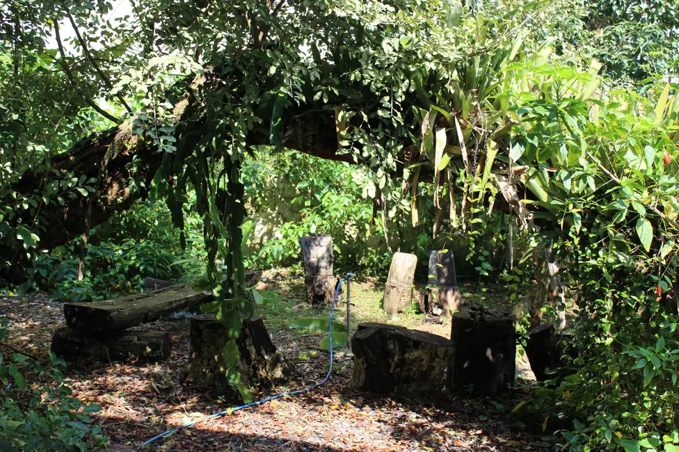 Foto 8 de Casa com 3 quartos à venda, 1521m2 em Lagoa da Conceição, Florianopolis - SC