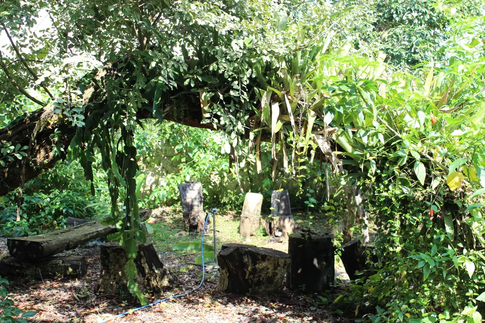 Foto 9 de Casa com 3 quartos à venda, 1521m2 em Lagoa da Conceição, Florianopolis - SC