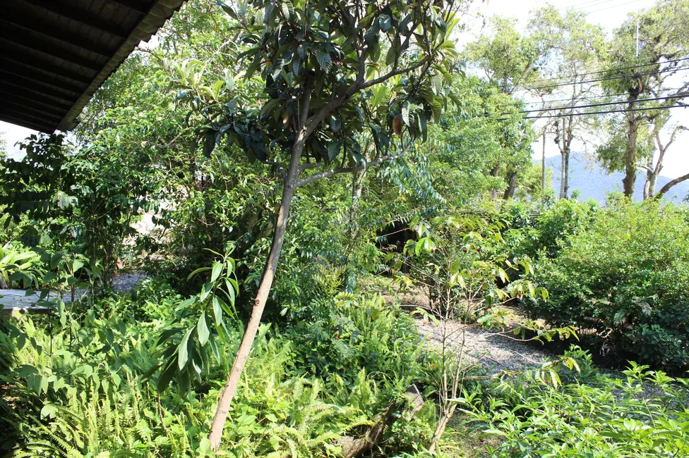 Foto 7 de Casa com 3 quartos à venda, 1521m2 em Lagoa da Conceição, Florianopolis - SC