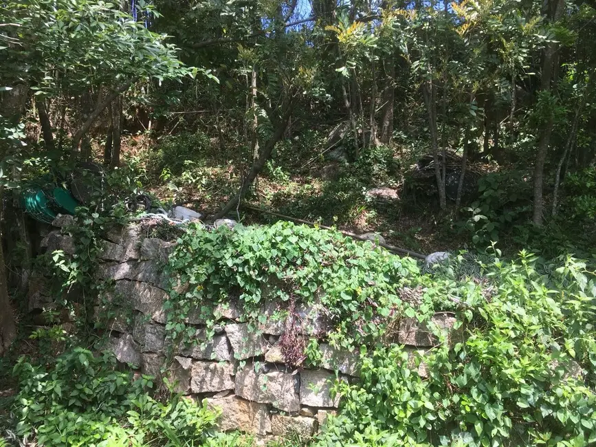 Terreno / Lote à venda, 110000m2 em Ribeirão da Ilha, Florianopolis - SC - imagem 7 Foto 7 de Terreno / Lote à venda, 110000m2 em Ribeirão da Ilha, Florianopolis - SC