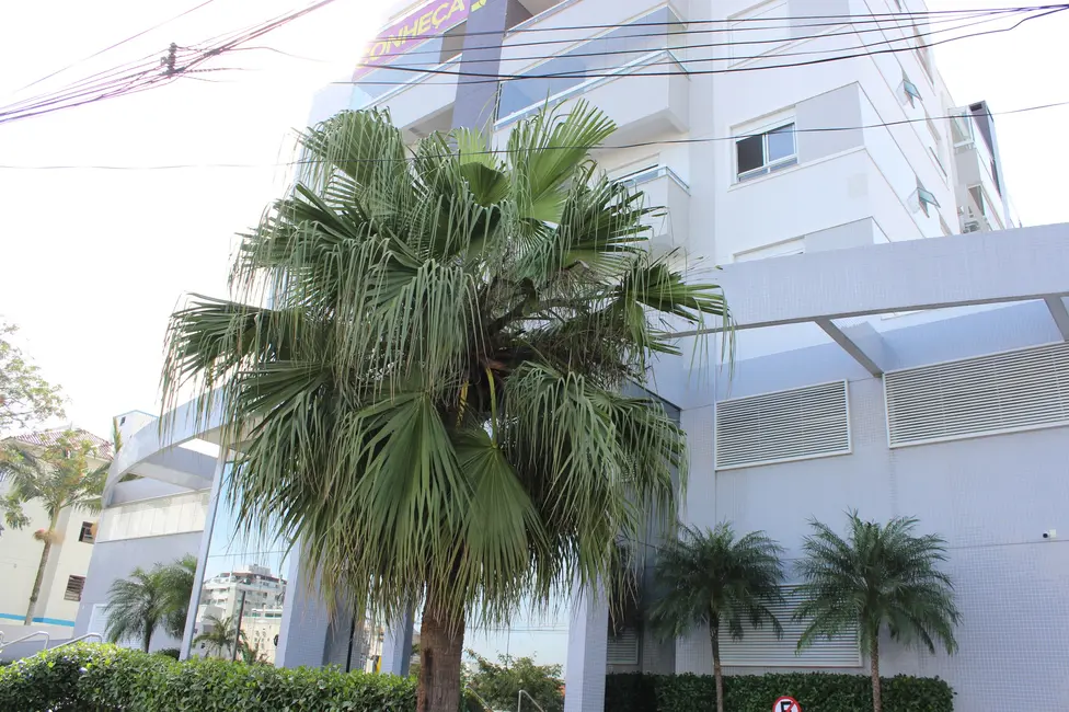 Foto 1 de Apartamento com 2 quartos à venda, 66m2 em Abraão, Florianopolis - SC