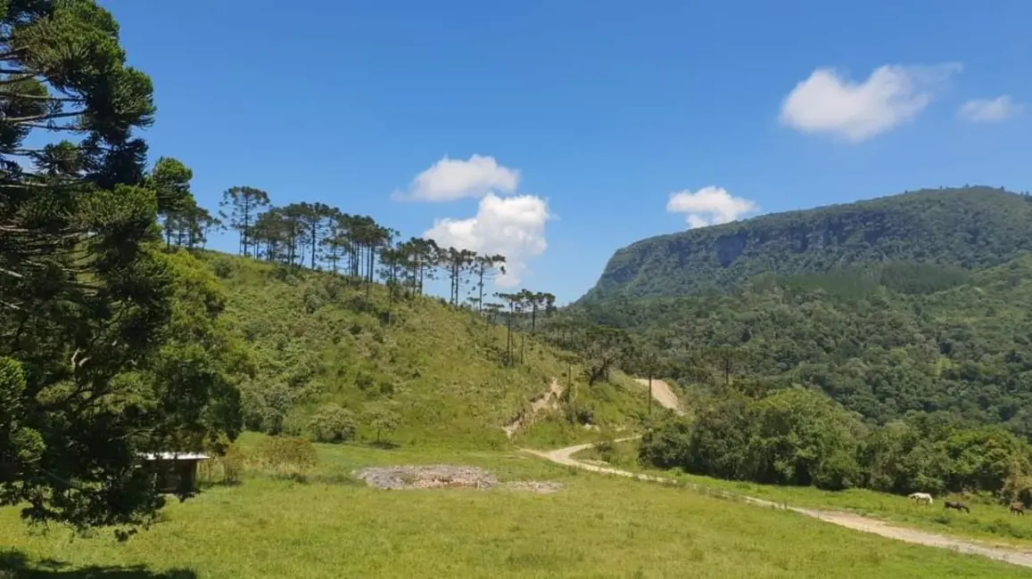 Foto 6 de Sítio / Rancho com 3 quartos à venda, 130m2 em Alfredo Wagner - SC