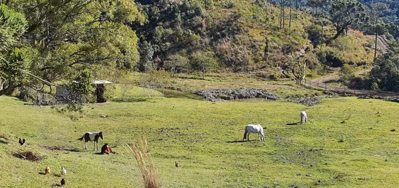 Foto 8 de Sítio / Rancho com 3 quartos à venda, 130m2 em Alfredo Wagner - SC
