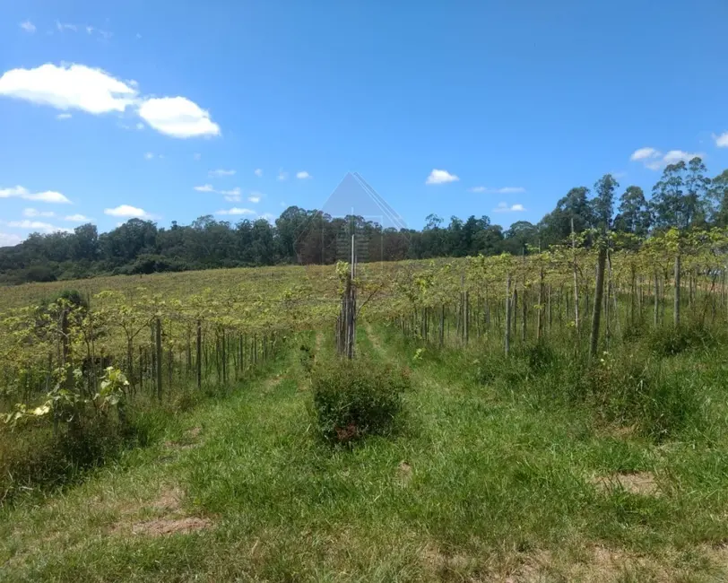 Foto 7 de Sítio / Rancho à venda, 117500m2 em Horto Florestal, Jundiai - SP