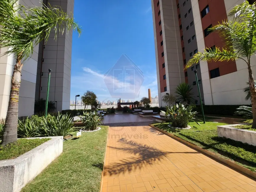 Foto 3 de Apartamento com 3 quartos para alugar, 77m2 em Ponte de São João, Jundiai - SP