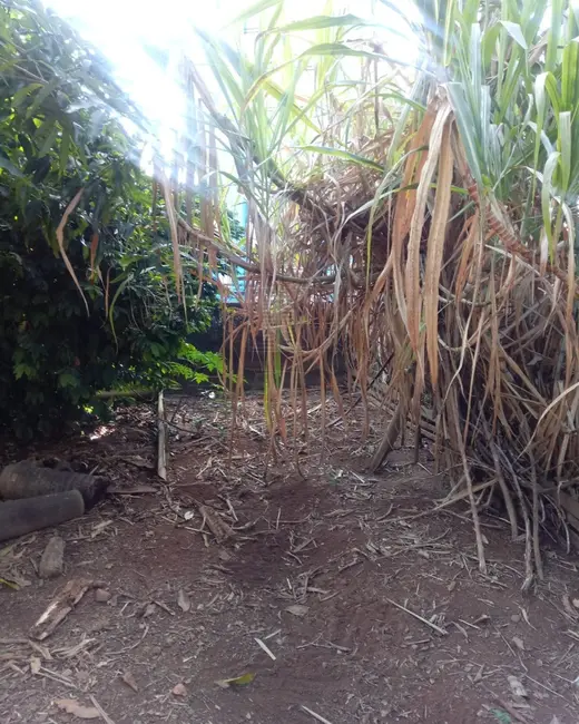 Foto 2 de Terreno / Lote à venda, 630m2 em Vila Arens II, Jundiai - SP