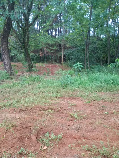Foto 4 de Terreno / Lote para alugar, 5500m2 em Jundiai - SP