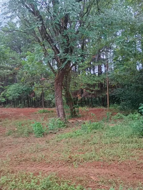 Foto 6 de Terreno / Lote para alugar, 5500m2 em Jundiai - SP