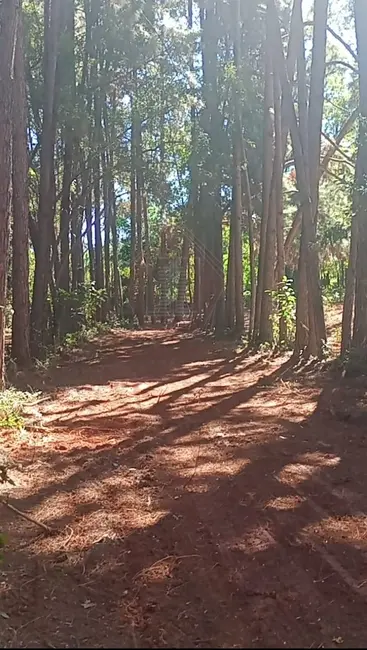 Foto 7 de Terreno / Lote para alugar, 5500m2 em Jundiai - SP