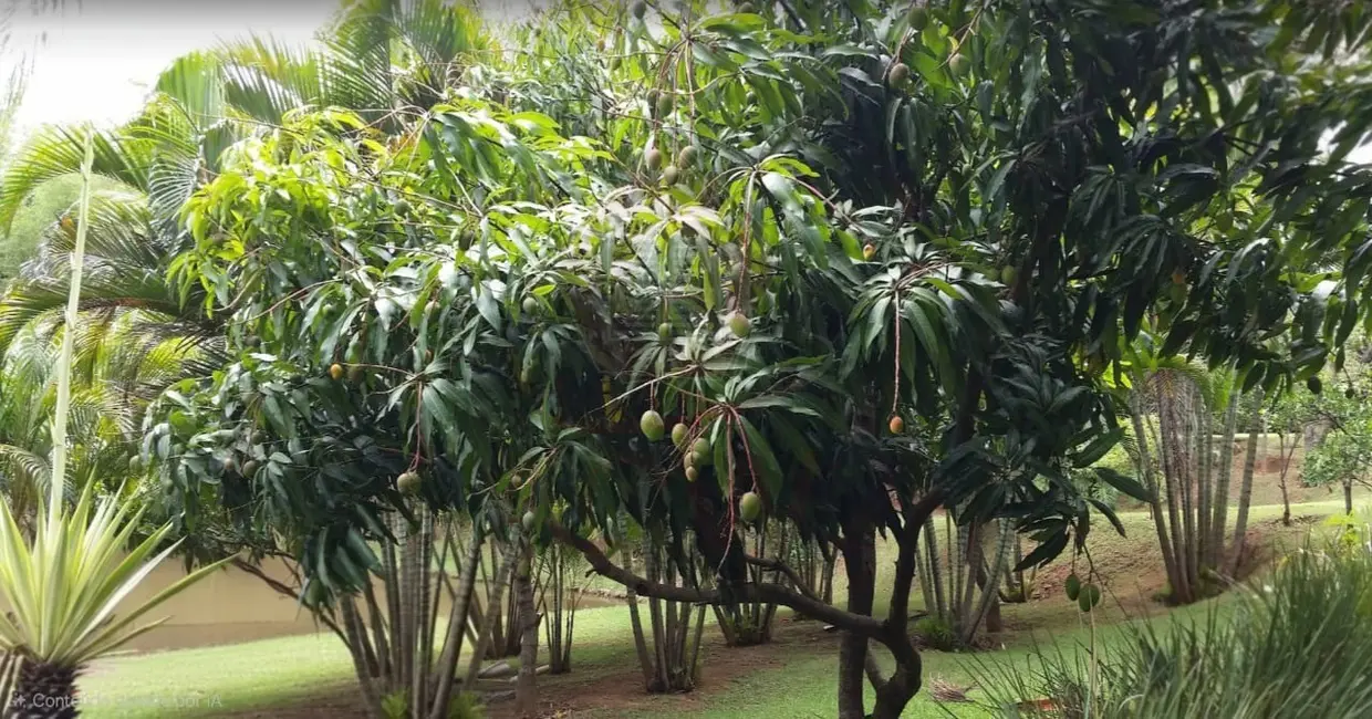Casa de Condomínio com 4 quartos à venda, 173m2 em Jardim Ermida II, Jundiai - SP - imagem 4 Foto 4 de Casa de Condomínio com 4 quartos à venda, 173m2 em Jardim Ermida II, Jundiai - SP