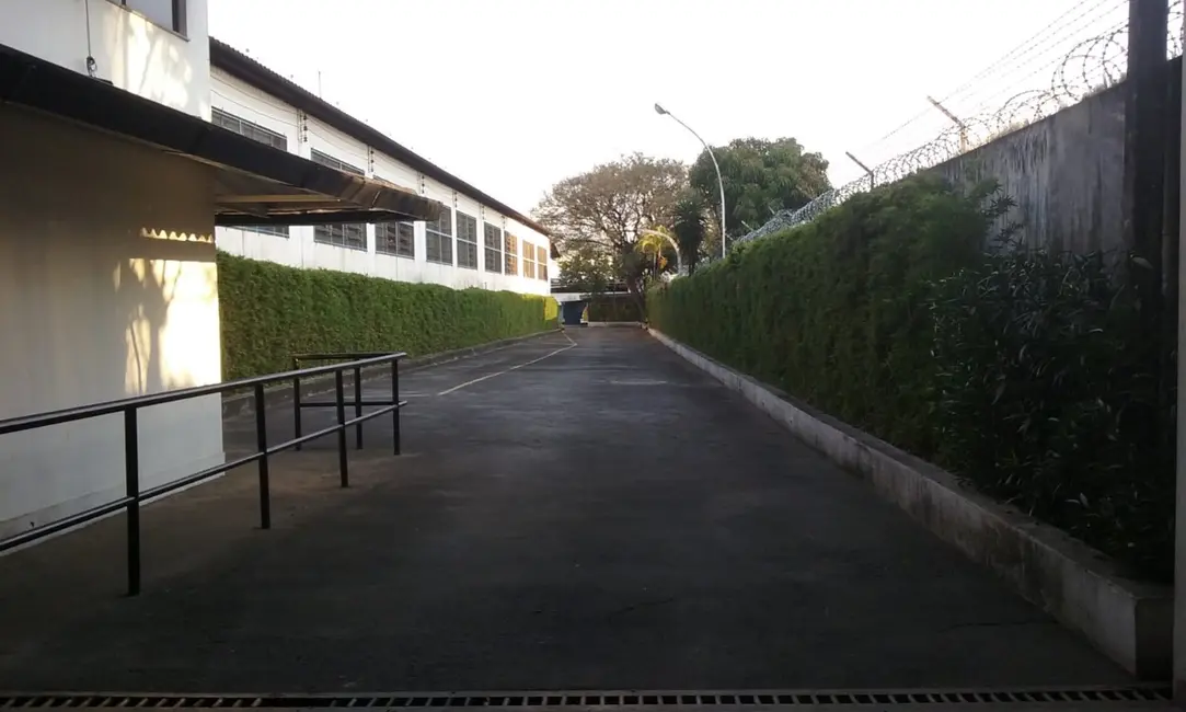 Foto 6 de Armazém / Galpão para alugar, 1200m2 em Jardim Pereira Leite, São Paulo - SP
