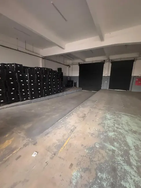 Foto 5 de Armazém / Galpão para alugar, 1300m2 em Vila Ribeiro de Barros, São Paulo - SP