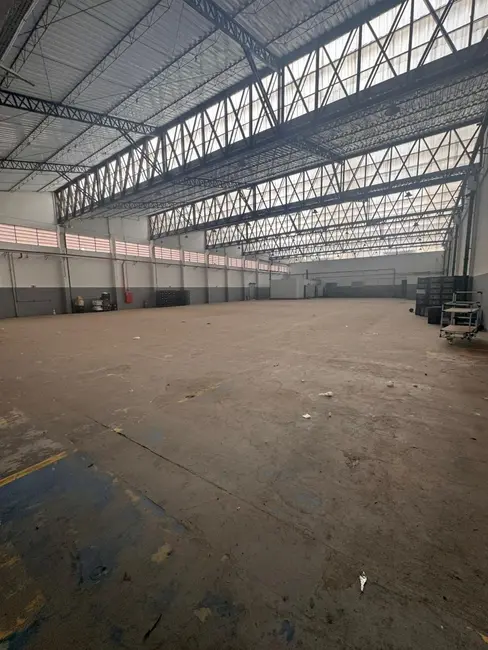 Foto 1 de Armazém / Galpão para alugar, 1300m2 em Vila Ribeiro de Barros, São Paulo - SP