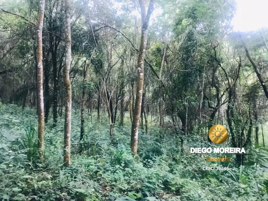 Foto 6 de Sítio / Rancho com 2 quartos à venda, 62000m2 em Recanto dos Palmares, Atibaia - SP