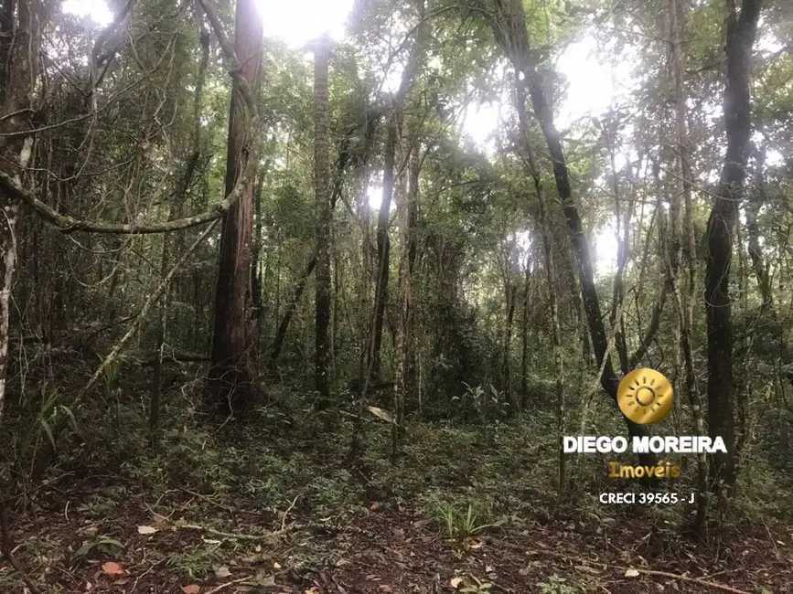 Foto 7 de Sítio / Rancho com 2 quartos à venda, 62000m2 em Recanto dos Palmares, Atibaia - SP