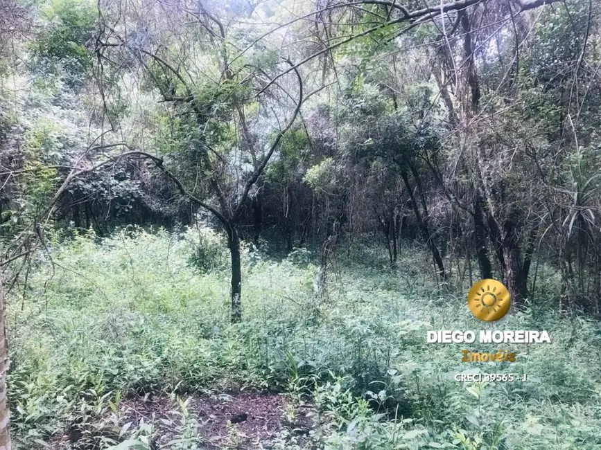 Foto 8 de Sítio / Rancho com 2 quartos à venda, 62000m2 em Recanto dos Palmares, Atibaia - SP