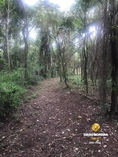 Foto 4 de Sítio / Rancho com 2 quartos à venda, 62000m2 em Recanto dos Palmares, Atibaia - SP