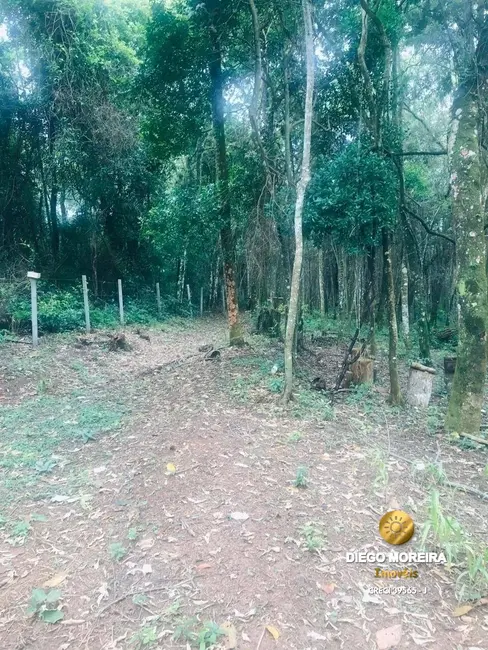 Foto 3 de Sítio / Rancho com 2 quartos à venda, 62000m2 em Recanto dos Palmares, Atibaia - SP
