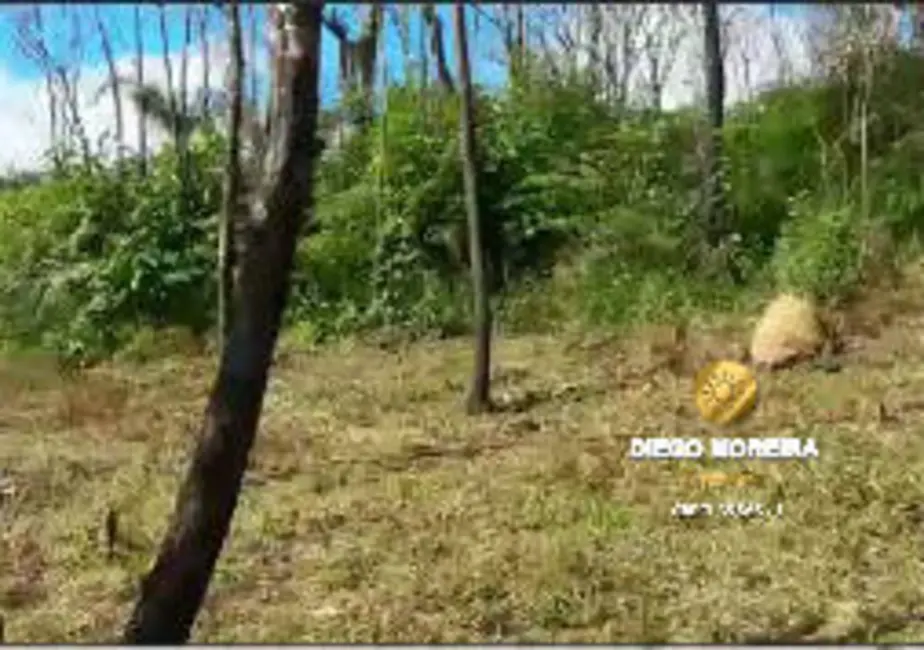 Foto 3 de Terreno / Lote à venda, 602m2 em Mairipora - SP