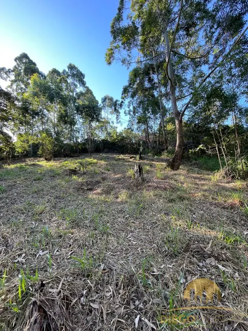 Foto 5 de Terreno / Lote à venda, 250m2 em Mairipora - SP