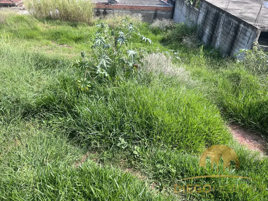 Foto 3 de Terreno / Lote à venda, 250m2 em Mairipora - SP