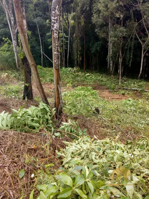 Foto 3 de Terreno / Lote à venda, 2526m2 em Mairipora - SP