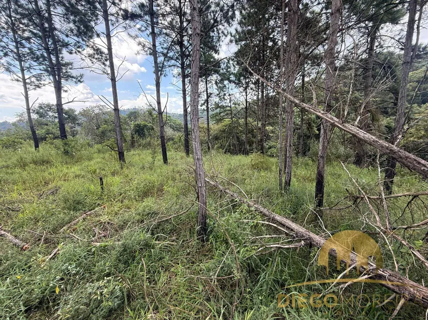 Foto 2 de Lote de Condomínio à venda, 304m2 em Mairipora - SP