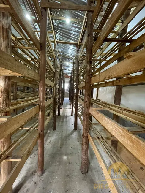 Foto 7 de Terreno / Lote à venda e para alugar, 650m2 em Mairipora - SP
