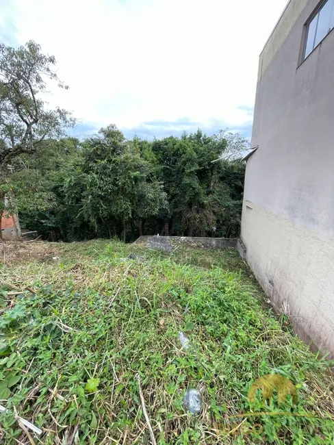 Foto 4 de Terreno / Lote à venda, 326m2 em Centro, Mairipora - SP