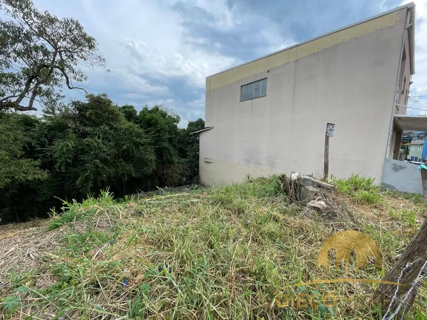 Foto 8 de Terreno / Lote à venda, 326m2 em Centro, Mairipora - SP