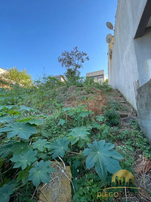 Foto 2 de Terreno / Lote à venda, 295m2 em Mairipora - SP