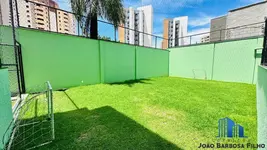 Imagem 19