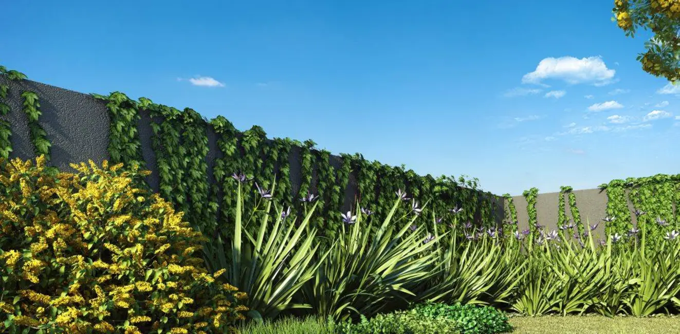 Foto 6 de Apartamento com 2 quartos à venda em São Paulo - SP