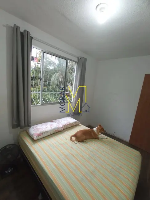 Foto 5 de Apartamento com 2 quartos à venda, 55m2 em Santa Amélia, Belo Horizonte - MG