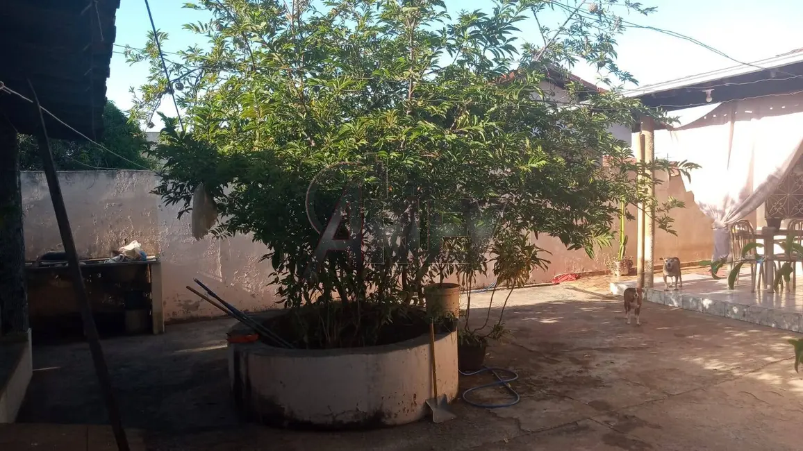 Foto 6 de Casa com 3 quartos à venda, 360m2 em Jardim Palmeiras, Montes Claros - MG